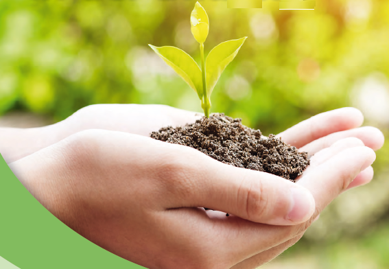 leitartikel salzmann 1 2018